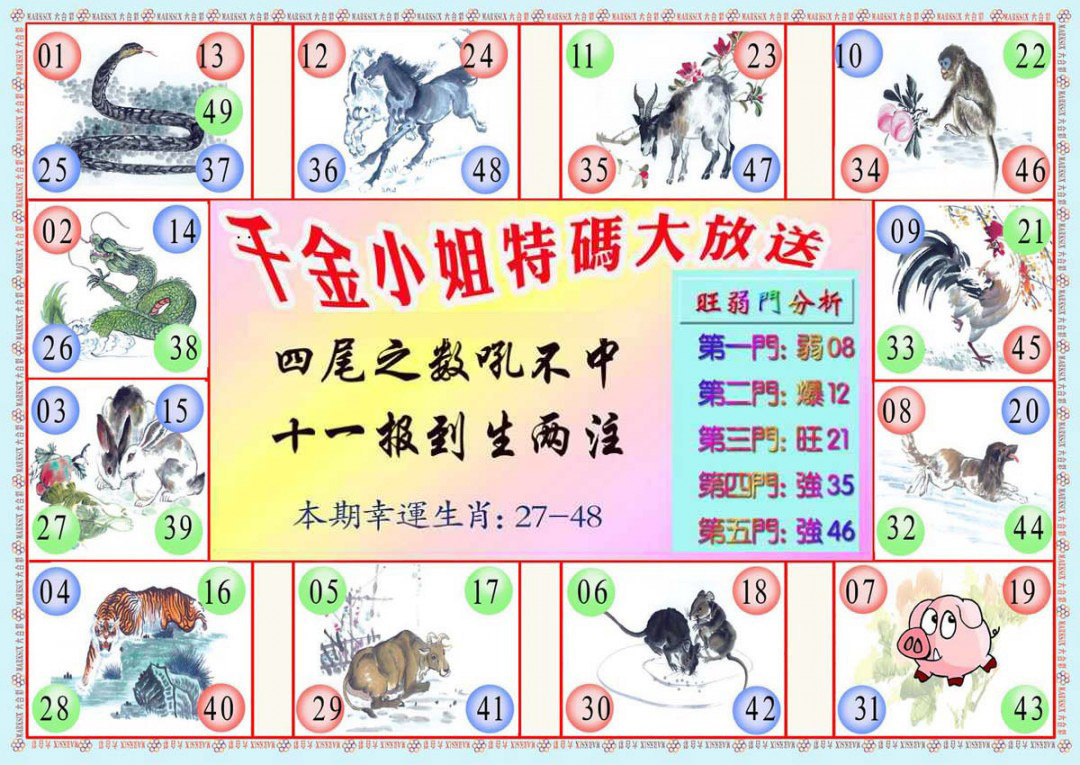 012期千金小姐B版[图]
