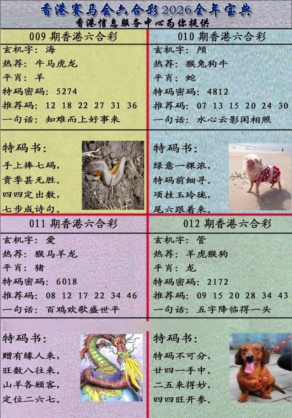 012期宝典报[图]