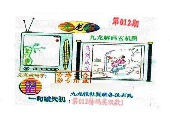 012期九龙报[图]