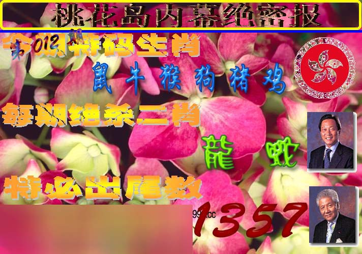 012期桃花岛内幕报[图]