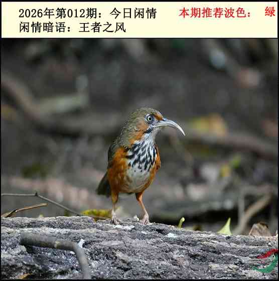 012期今日闲情2[图]