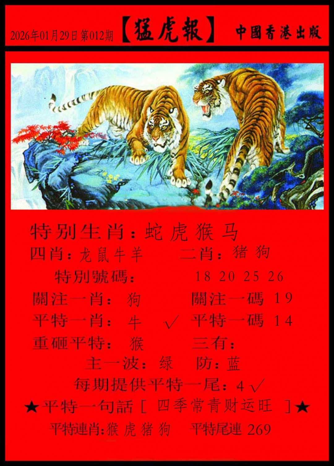 012期猛虎报[图]