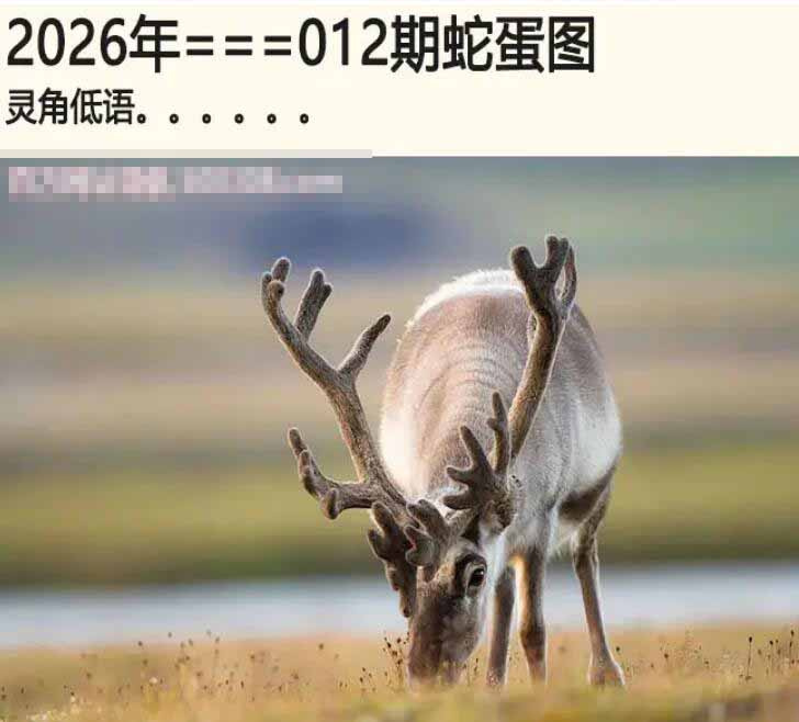 012期另版蛇蛋图[图]